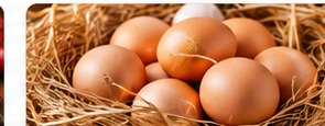Egg Trading